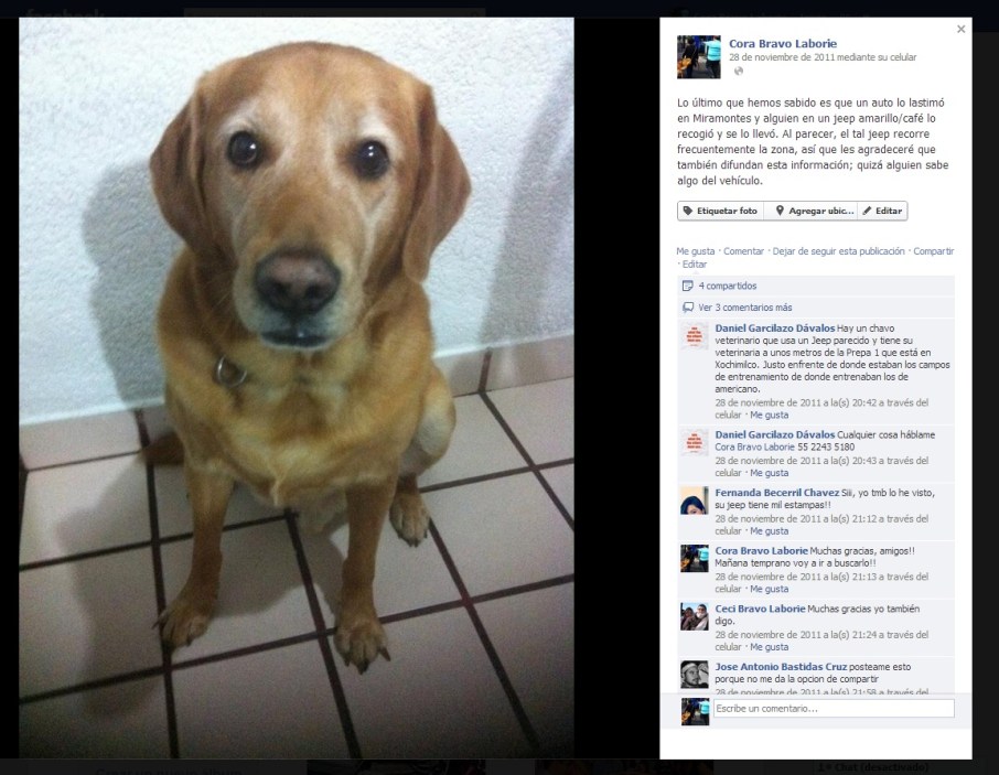 Cuando Vito se perdió